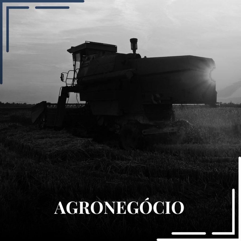 agronegócio